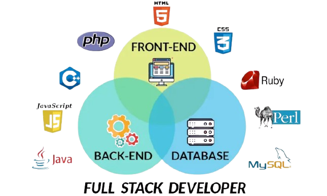Building Seamless Digital Experiences from Front to Back